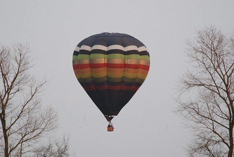 Luchtballon in de Bevrijdingsstraat.JPG - Luchtballon in de Bevrijdingsstraat